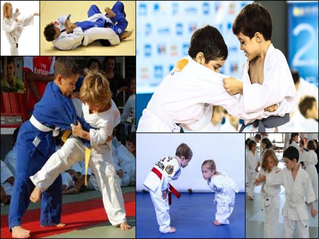 judo taekwondo aikido no Belvedere