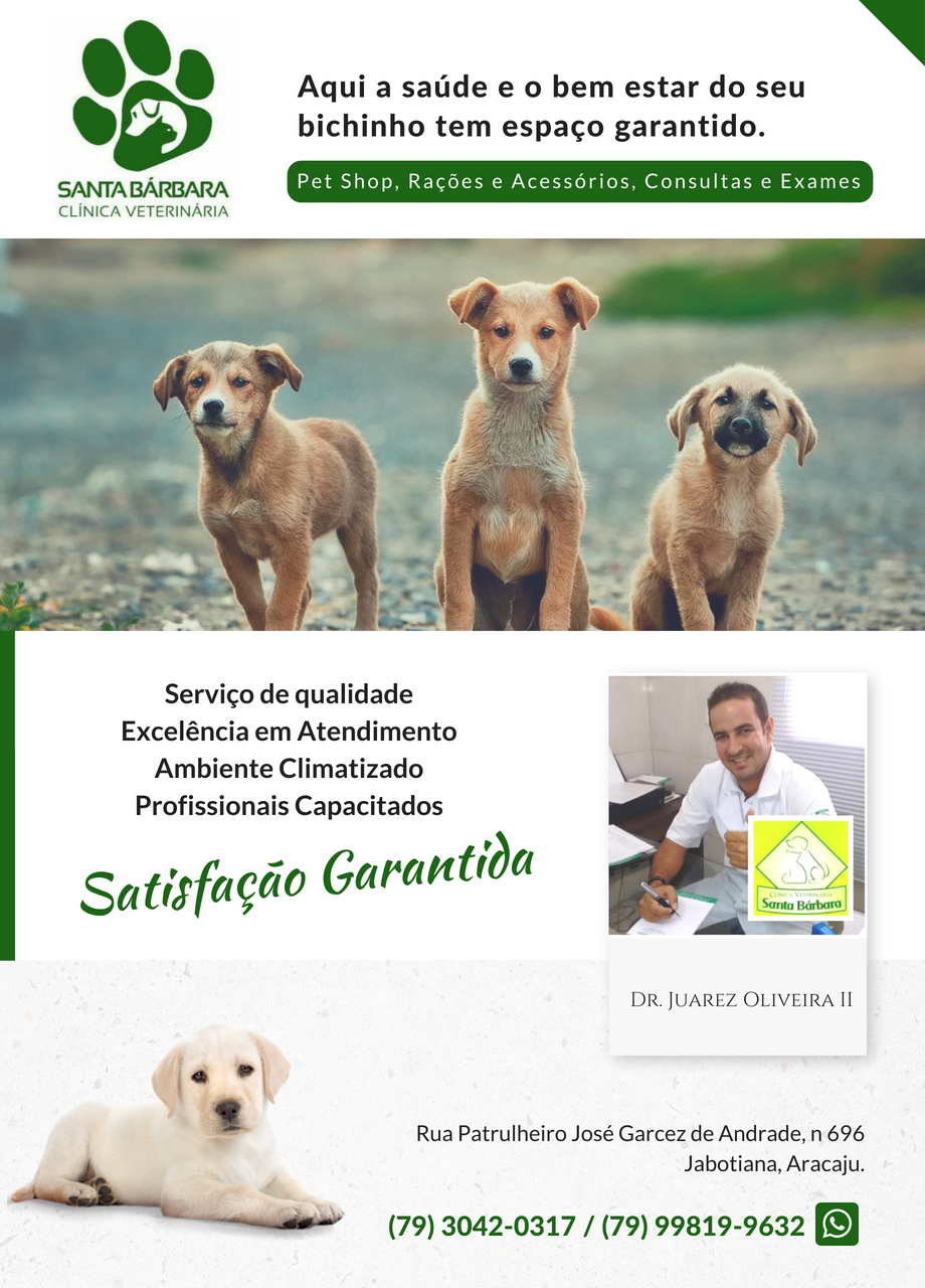 clinica veterinaria em jabotiana, aracaju