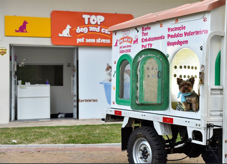 TOP DOG AND CAT - Pet Shop no Vila da Serra- Nova Lima