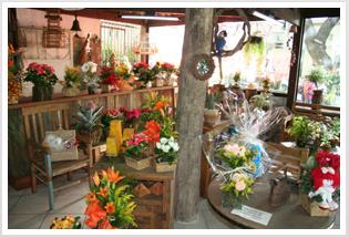 Floricultura - Floriculturas - Teleflora - Flores - Entrega de Flores - Jardinagem - 
